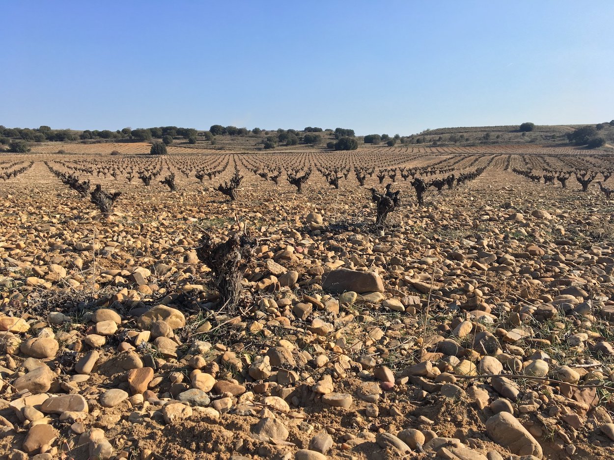 Toro, nueva Ruta del Vino de España