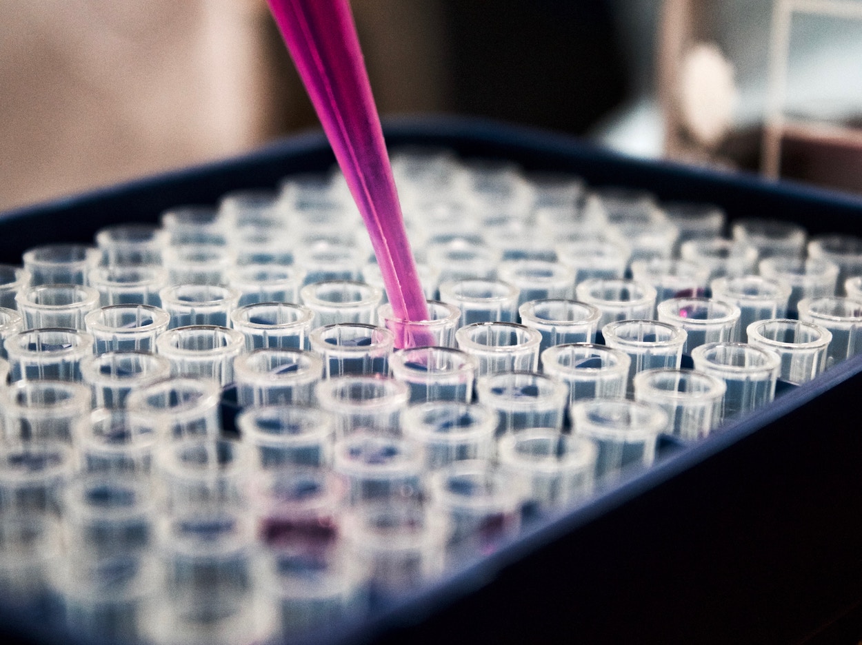 Proyecto para desarrollar nutraceúticos a partir de residuos alimenticios