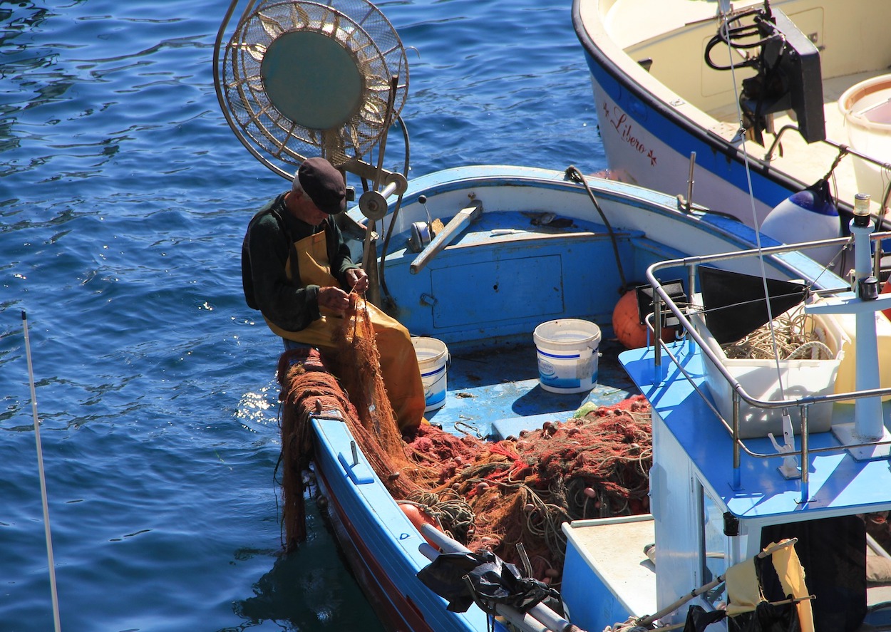 Cinco nuevas pesquerías sostenibles, de la mano de MSC y WWF