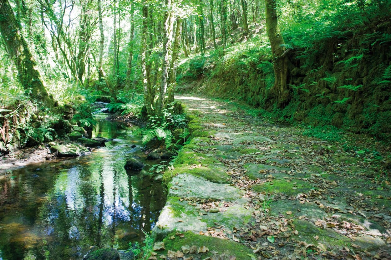 La Ruta del Vino de Ribeiro, O Camiño do Viño
