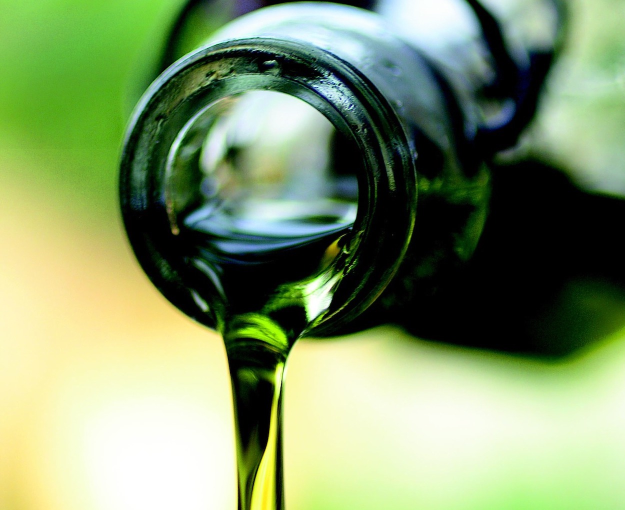 Retos y problemas a los que se enfrenta la actual campaña del aceite de oliva