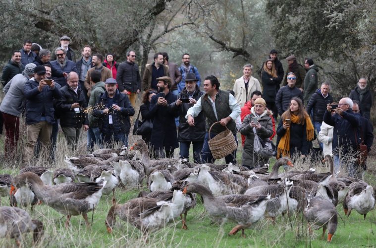 Chefs en defensa de la gastronomía y restauración rural