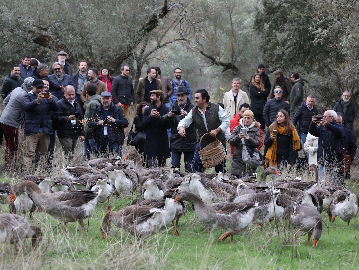 Chefs en defensa de la gastronomía y restauración rural