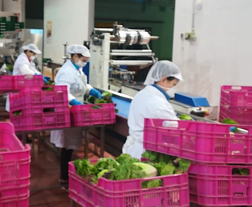 Protocolo de actuación frente al coronavirus para el sector agrario