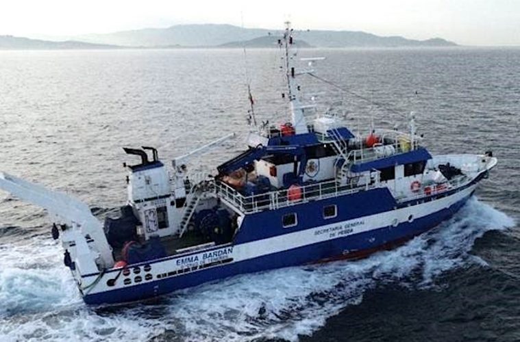 Estudiando la situación de la anchoa juvenil en el Golfo de Vizcaya