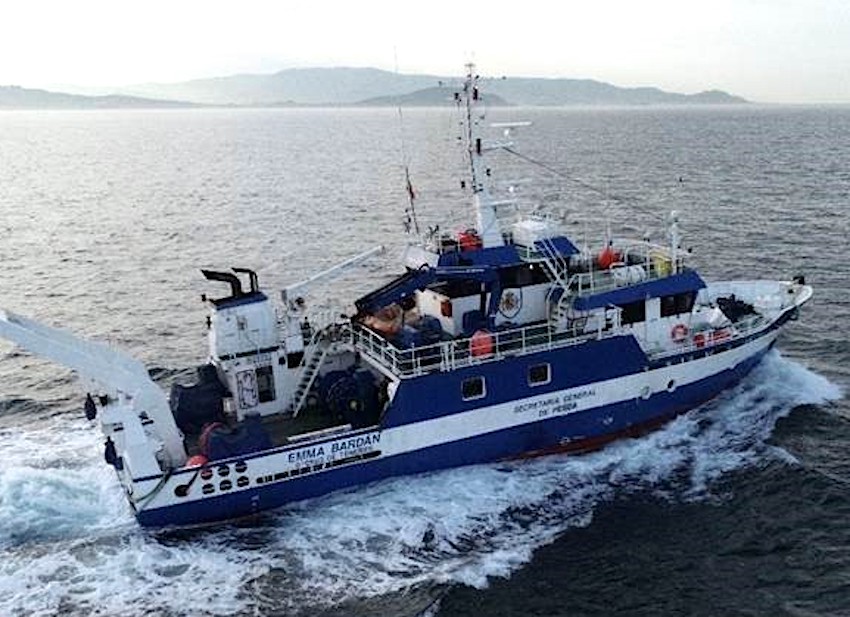 Estudiando la situación de la anchoa juvenil en el Golfo de Vizcaya
