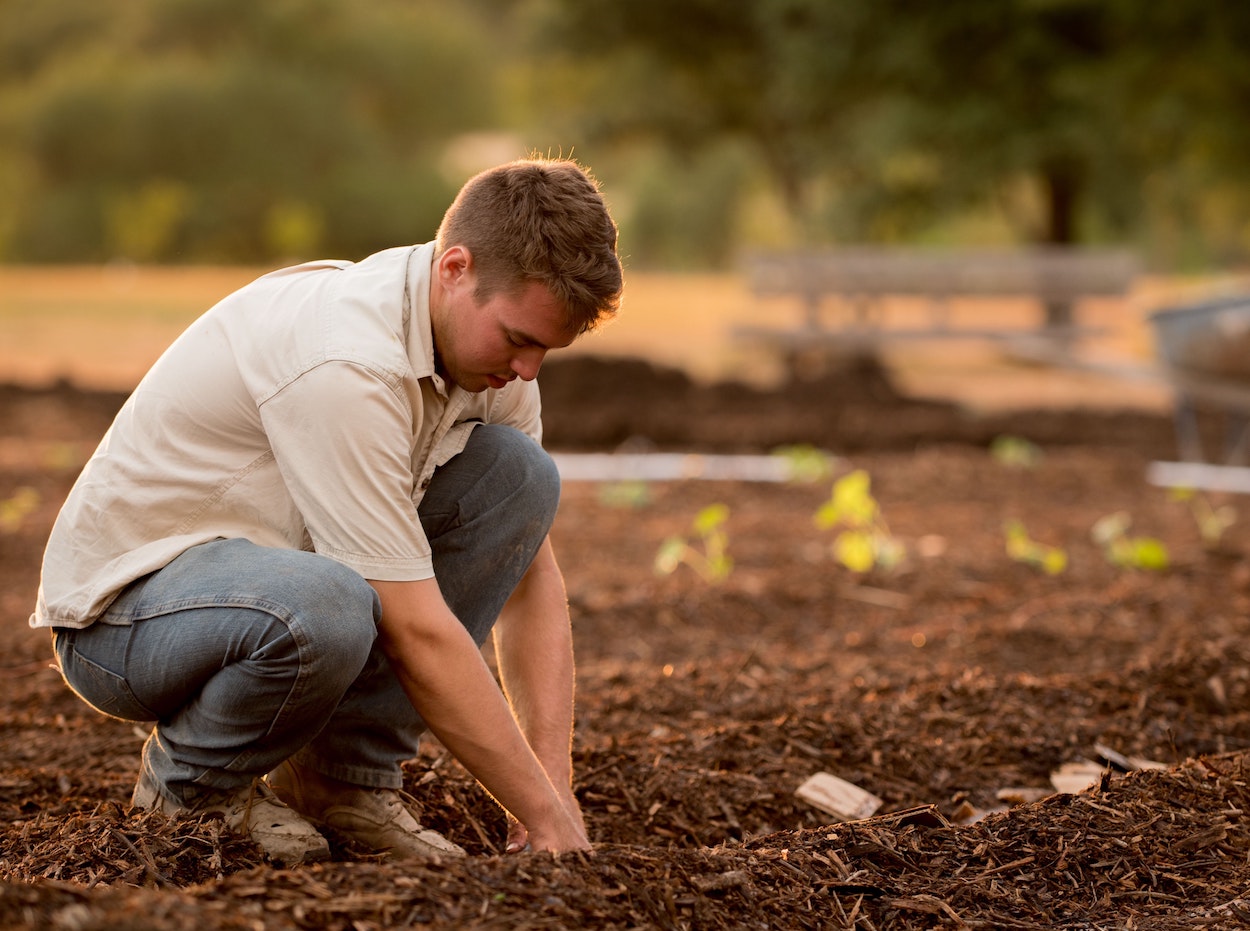 El nuevo Plan de Seguros Agrarios duplicará el porcentaje de subvención para agricultores jóvenes
