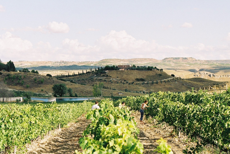 Madrid se incorpora a las Rutas del Vino de España