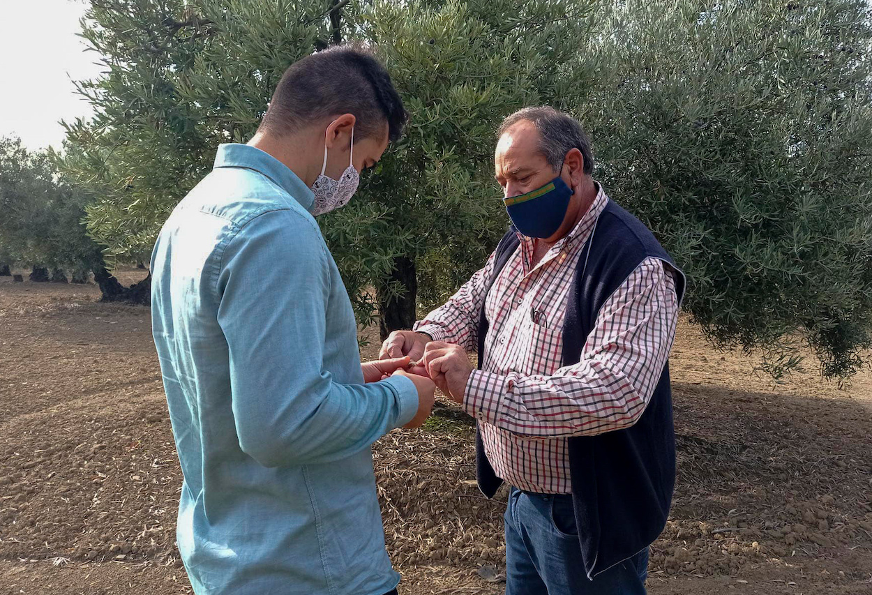Hacia la consolidación del Erasmus agrario para jóvenes agricultores 