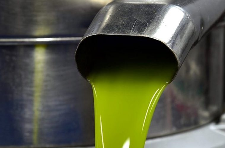 Publicadas las normas de autorregulación del aceite de oliva y nuevos paneles de cata
