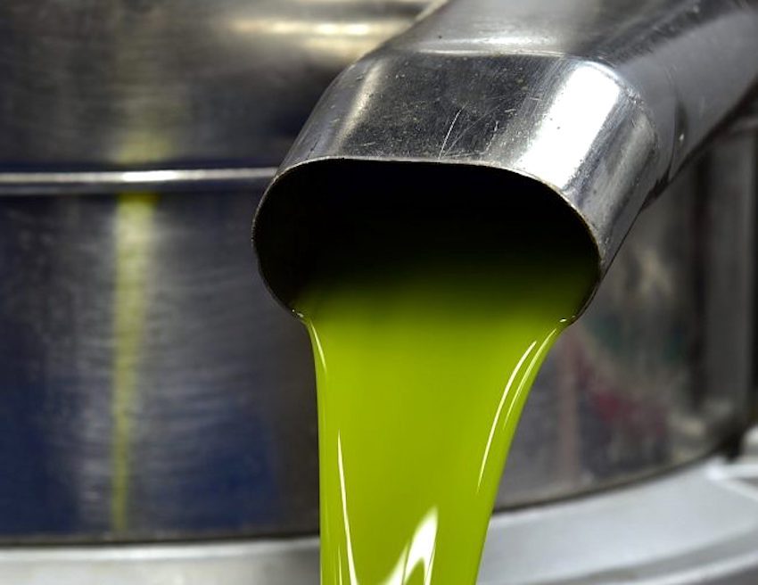 Publicadas las normas de autorregulación del aceite de oliva y nuevos paneles de cata 