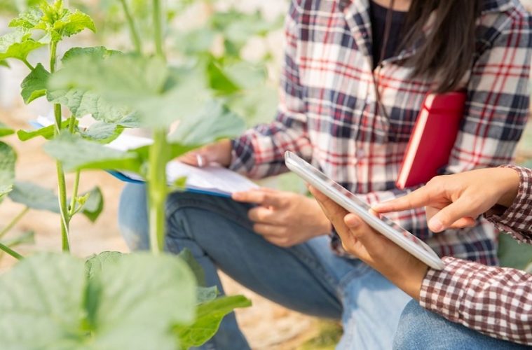 Convocados los Premios a la Innovación para Mujeres Rurales 2021