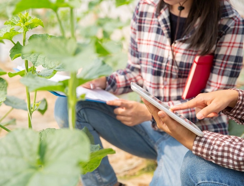 Convocados los Premios a la Innovación para Mujeres Rurales 2021