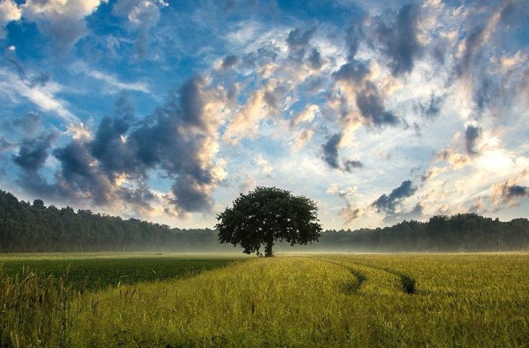 Así será la nueva Política Agrícola Común europea