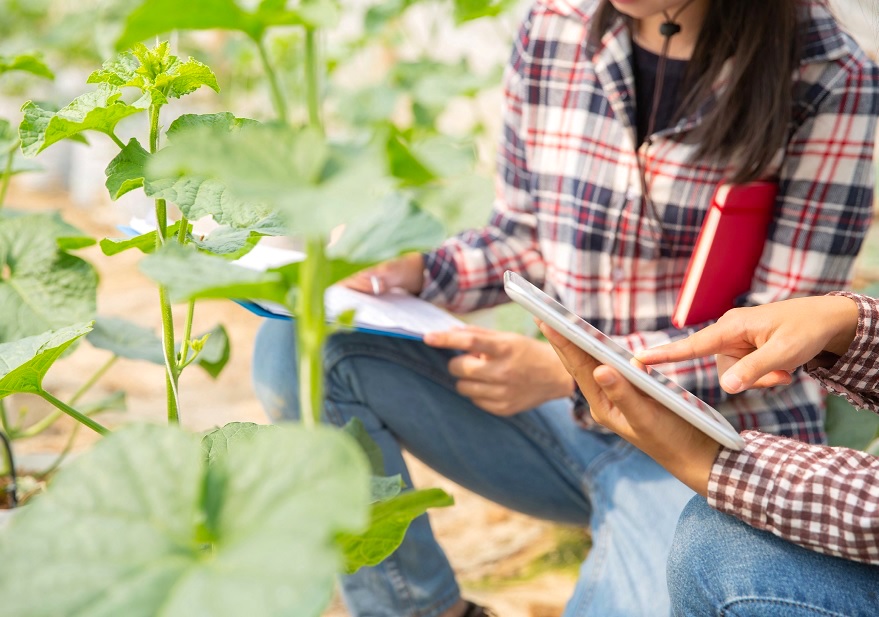 64 millones de euros y 24 actuaciones para digitalizar el sector agroalimentario y el medio rural