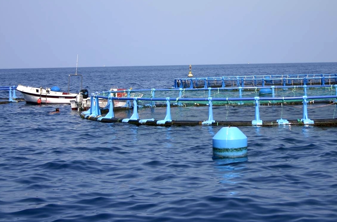 Impulso a proyectos de economía azul 