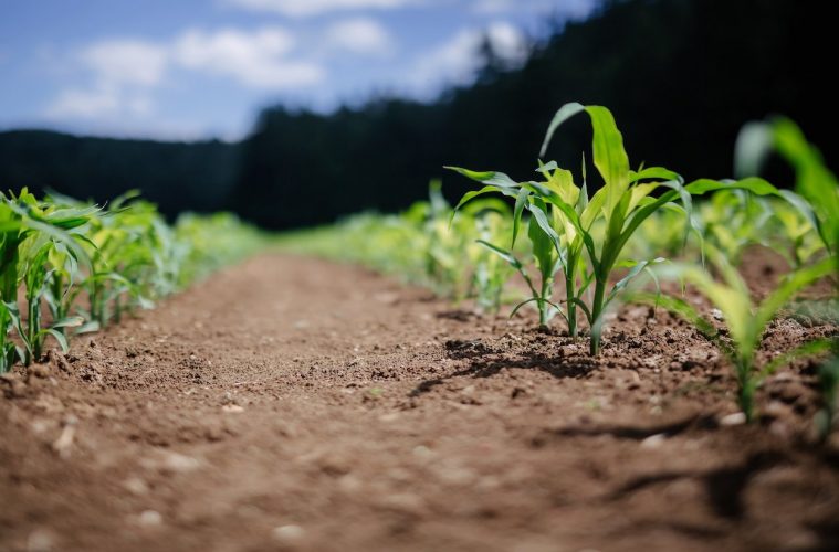 El Consejo de Ministros de Agricultura de la UE aborda la difícil situación del sector