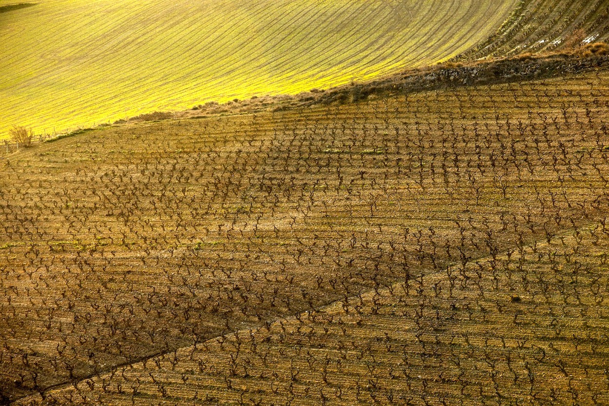 En marcha el Grupo Operativo para la protección del Paisaje y Viñedo en Rioja