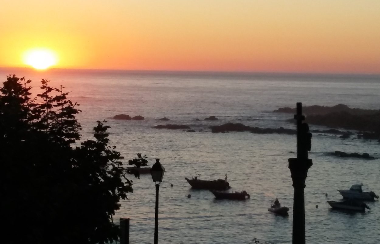 Nuevas medidas para regular la pesca de la caballa en Asturias y Lugo 