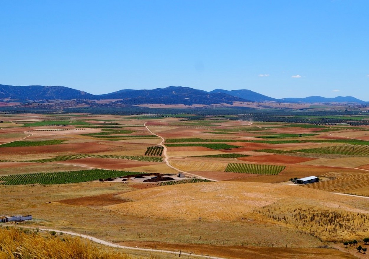 17 entidades bancarias se han sumado ya al IFGC para el acceso a créditos del sector agroalimentario