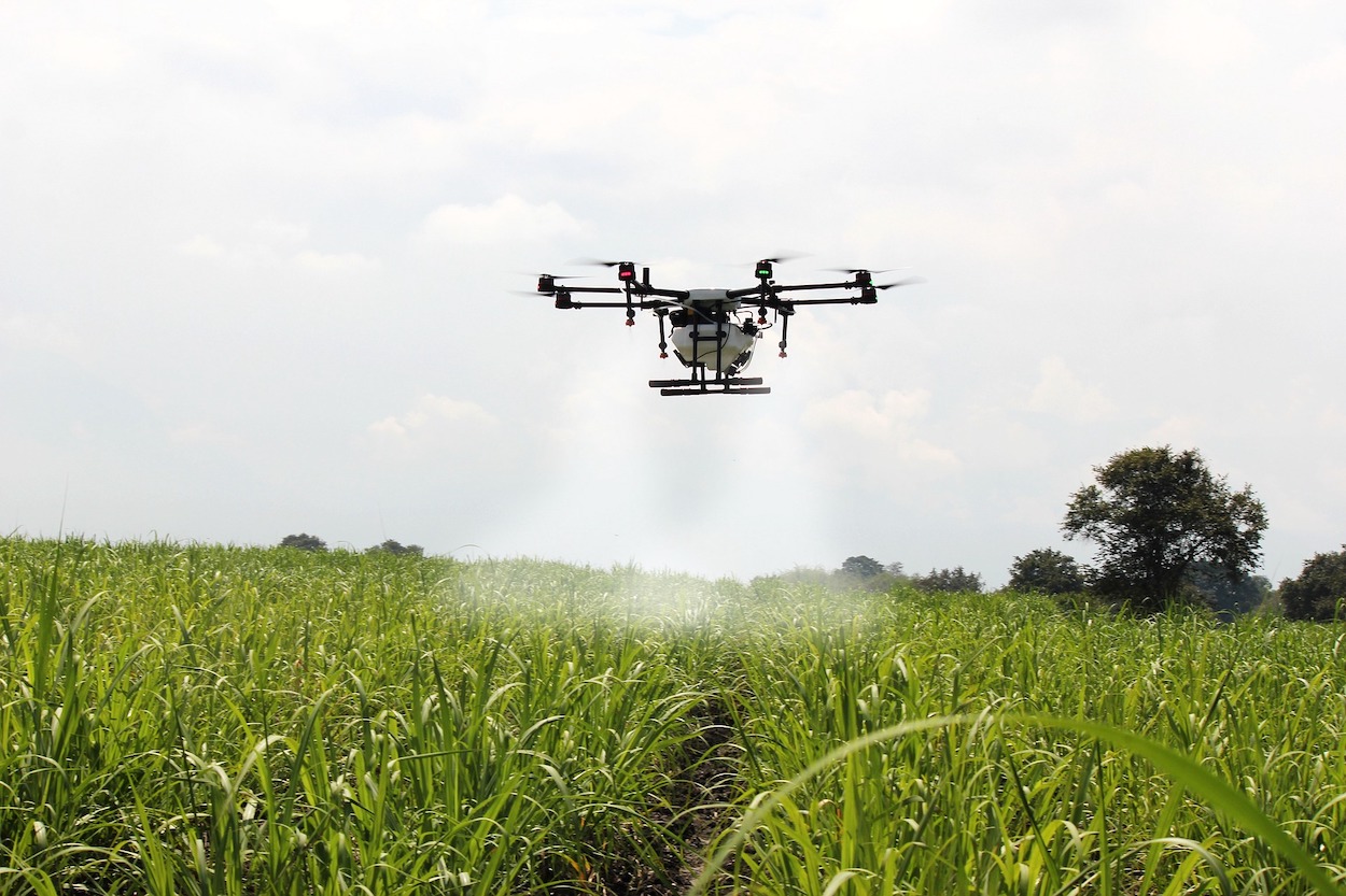 La Digitalizadora Agraria, el gran proyecto que une a más de 6.000 agricultores, ganaderos, cooperativas y agroindustrias