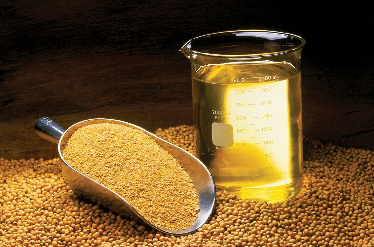 Aceite de soja, ¿la alternativa española al aceite de girasol? 
