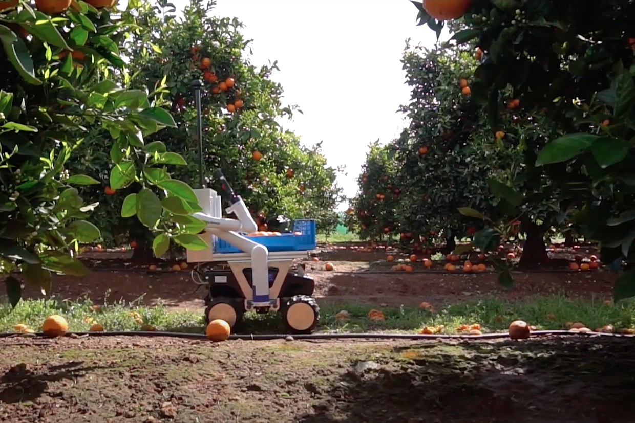 Un robot que recoge la fruta caída al suelo, facilitando un uso alternativo 