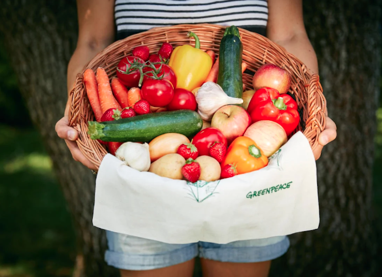 Calendario de frutas y verduras de temporada para reducir el impacto ambiental 