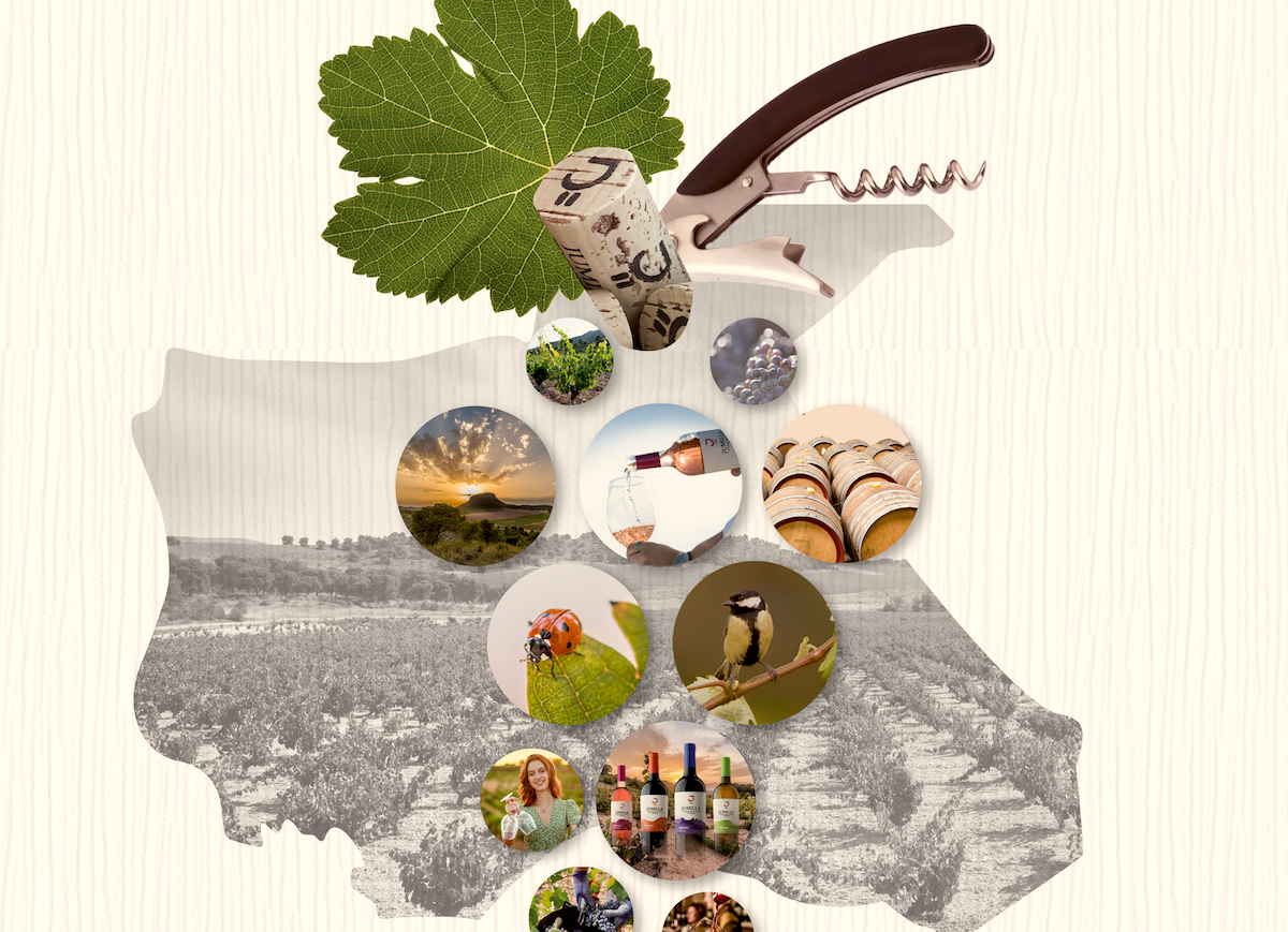 Jumilla prepara ya su primera Feria del Vino y del Enoturismo