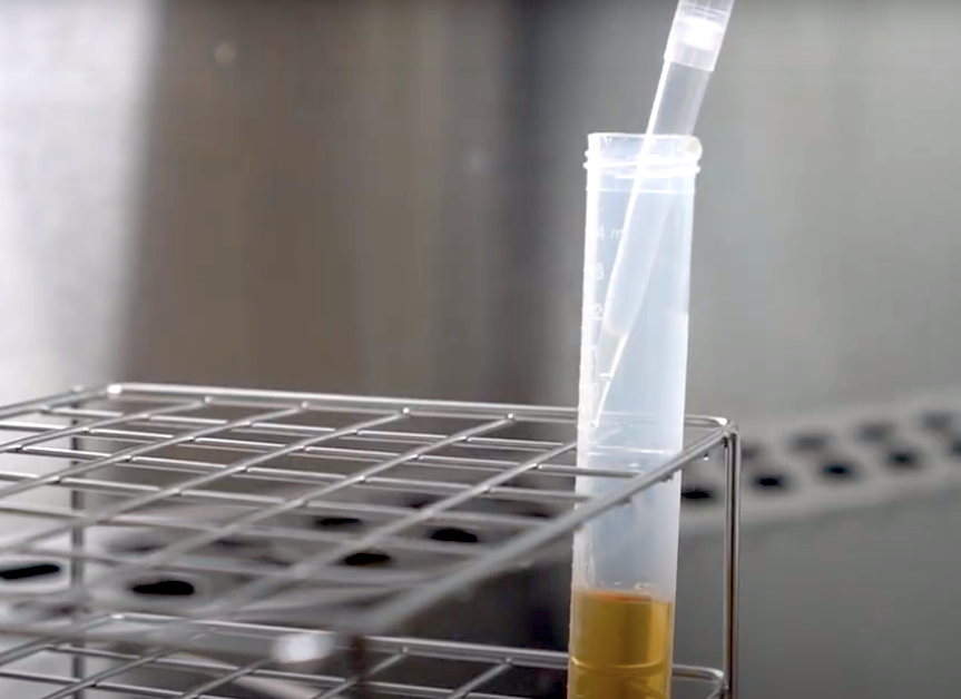 Nuevos ingredientes activos antimicrobianos frente a la Salmonella o la Listeriosis