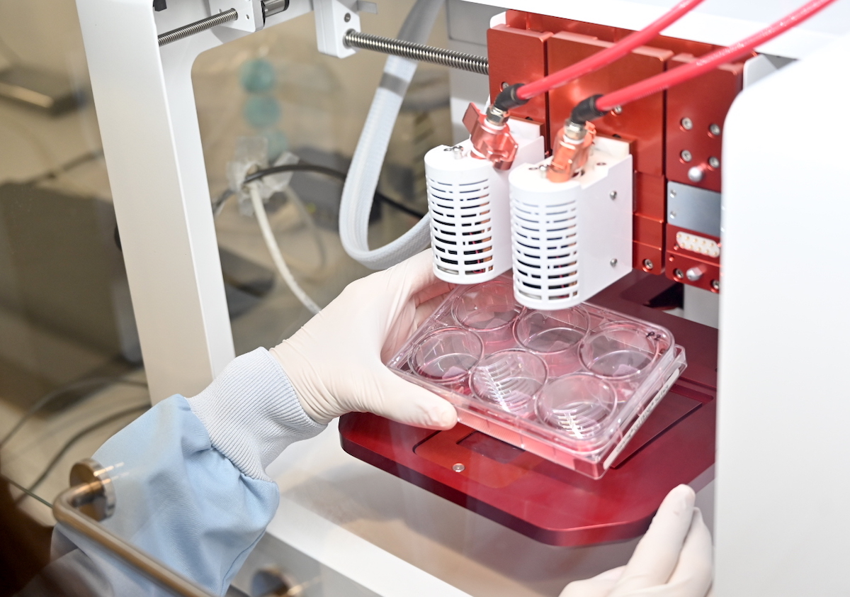 Hacia la producción de carne cultivada a nivel industrial 