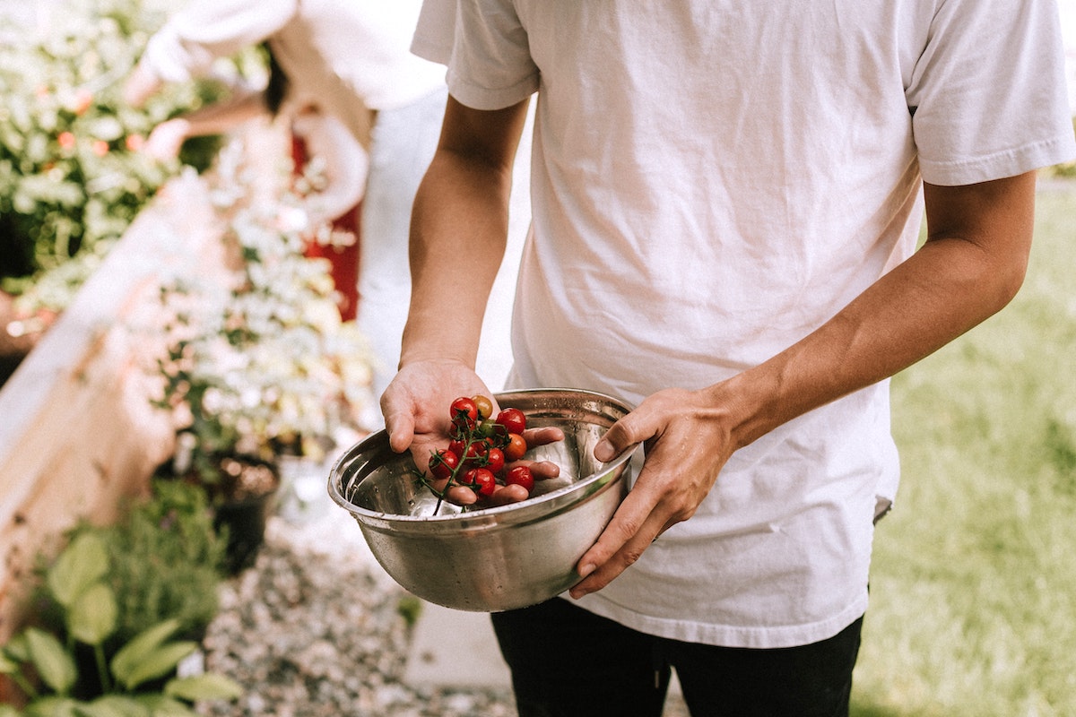 Tres candidatos en busca del título de Cocinero más sostenible de España 2023