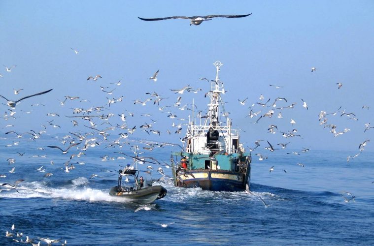 Nueva normativa para intensificar la lucha contra la pesca ilegal - Foto MAPA
