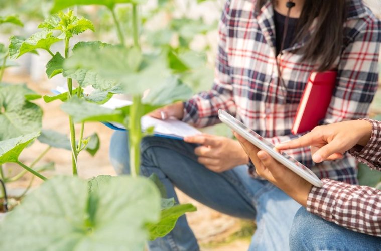Nueva convocatoria de los Premios de Excelencia a la Innovación para Mujeres Rurales - Foto MAPA