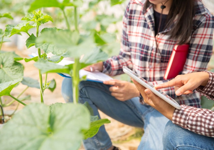 Convocados los Premios de Excelencia a la Innovación para Mujeres Rurales 