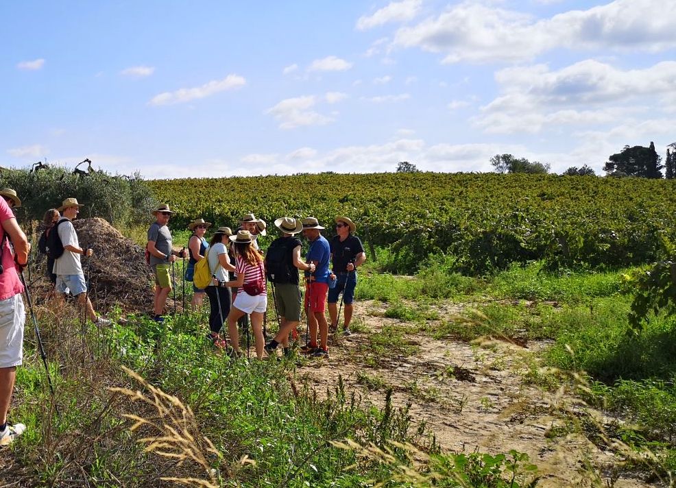Actividades de primavera en los viñedos del cava