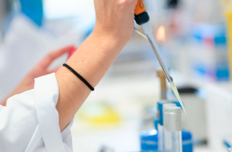 Nanomedicinas dirigidas a las neuronas que podrían reducir la obesidad