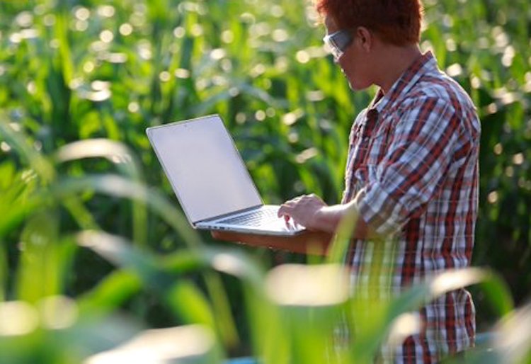 Nueva edición de Food (Tech)² Challengers para apoyar a las startups más innovadoras