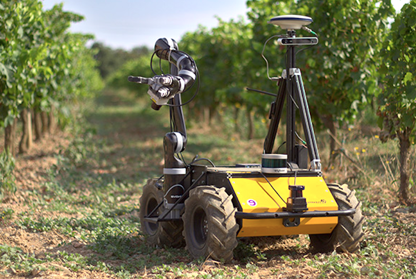Innovaciones tecnológicas para mejorar el día a día de la agricultura 