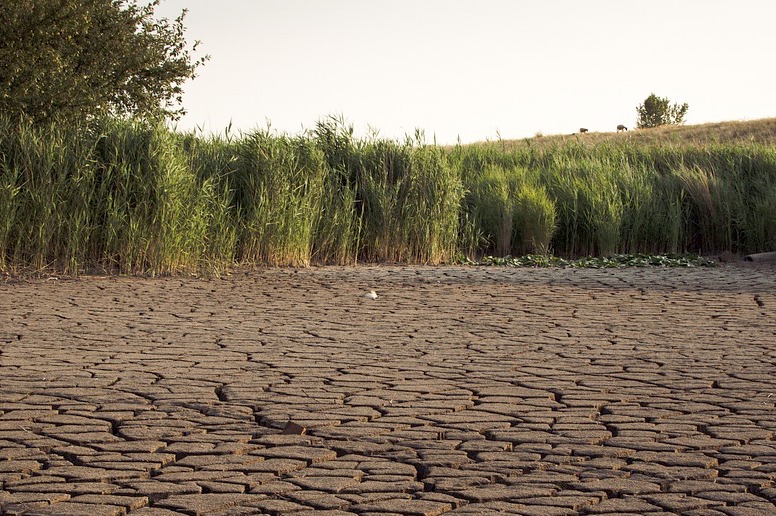 81 millones de euros de la reserva agrícola europea para paliar la sequía en España