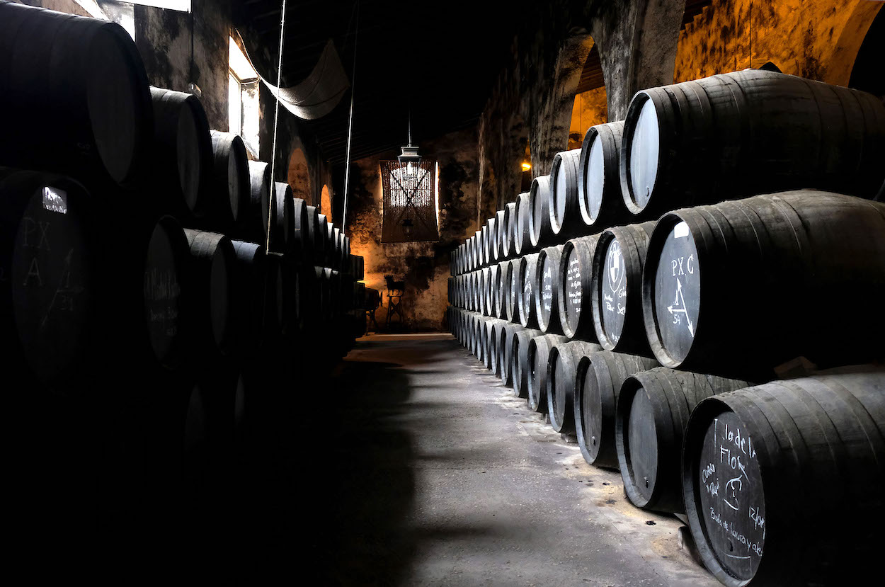 Las Rutas del Vino más visitadas de España