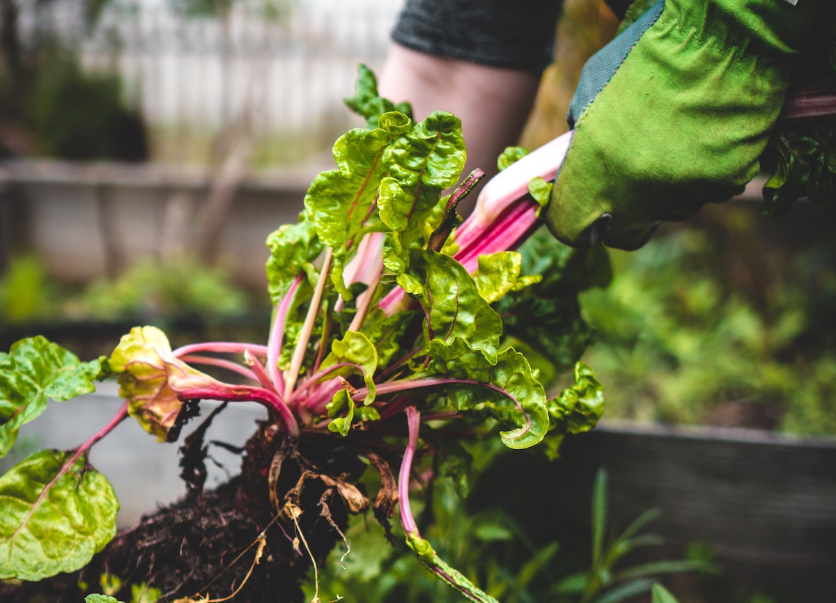 Propuestas para garantizar el futuro de la agricultura y ganadería familiar