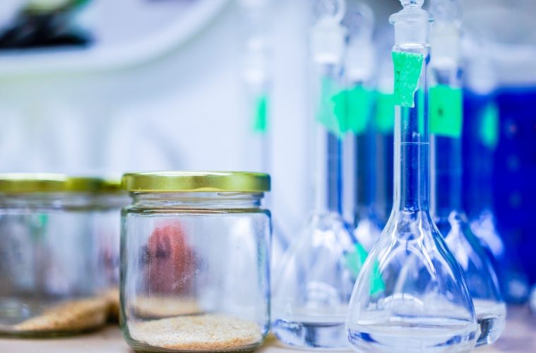 Aprovechamiento de residuos, pesca artesanal y dietas saludables y sostenibles, los proyectos ganadores de la Daniel Carasso Fellowship