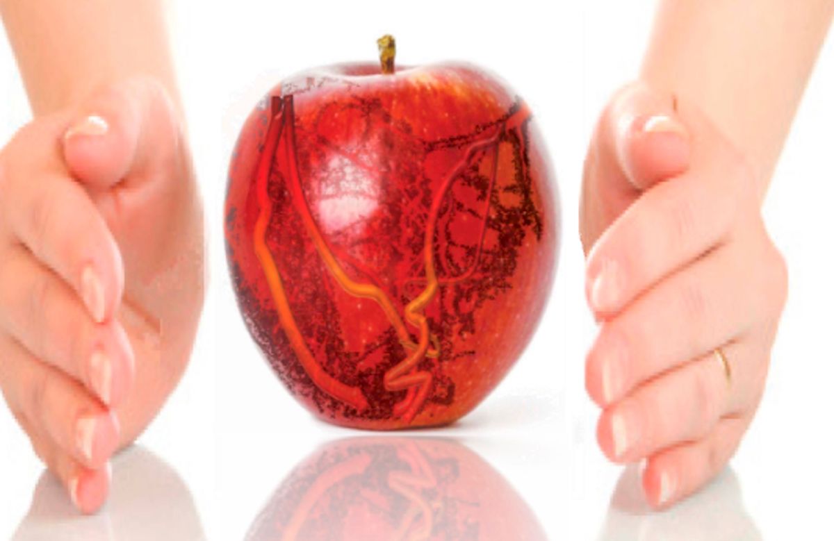 El estudio CordioPrev, Premio Nacional de Gastronomía a la Investigación