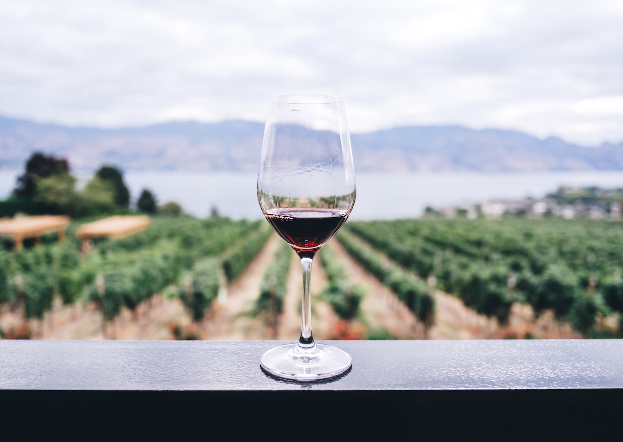 El sector vitivinícola europeo reivindica la importancia del vino en la UE
