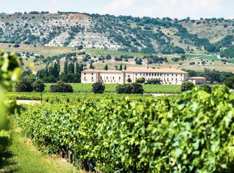 Los vinos, bodegas, vinotecas y profesionales del sector más destacados del año