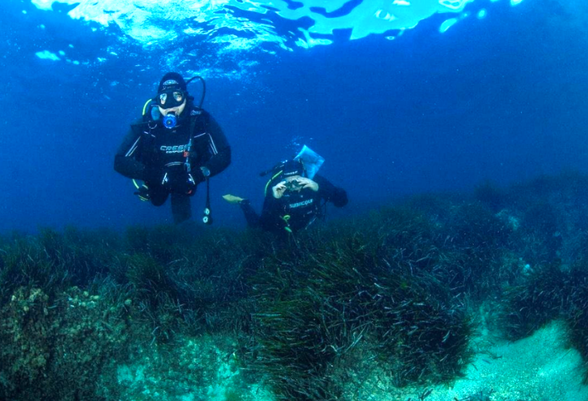 Proyecto para restaurar las praderas de Posidonia de Ibiza a través del ecoturismo