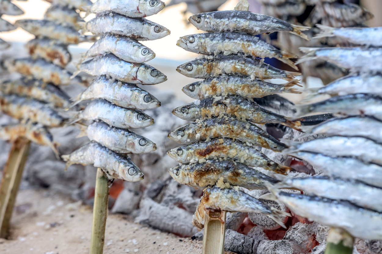 Todo listo en Torremolinos para el Concurso de Espetos de la Costa del Sol