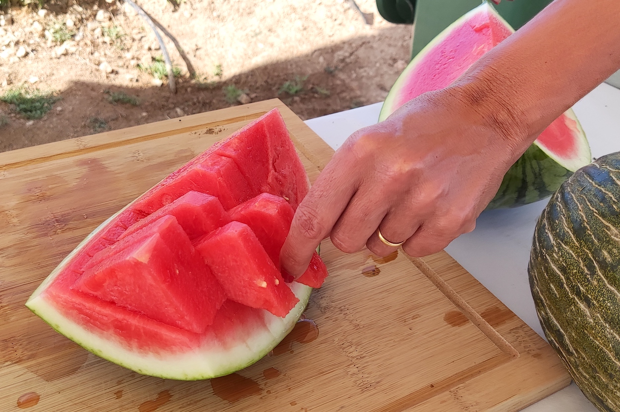 Agosto comienza con una mejora en la producción de melón y sandía