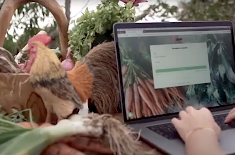 Proyectos innovadores que buscan una agricultura sostenible y comprometida - Foto POD